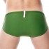 Swimwear Bikini - Vineyard Green [1820]