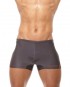 BeFit Swim Trunk-Grey [3400]