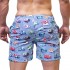 Beach Shorts - Navy Stripes Wheels [4193]