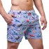 Beach Shorts - Navy Stripes Wheels [4193]