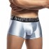 Super Body Metallic Trunk - Silver [4277]