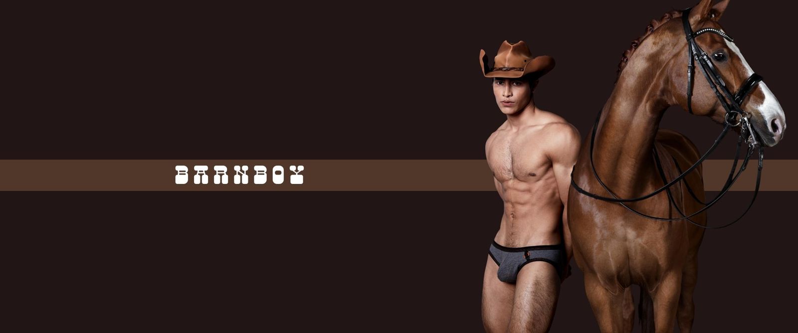 Barn Boy Banner